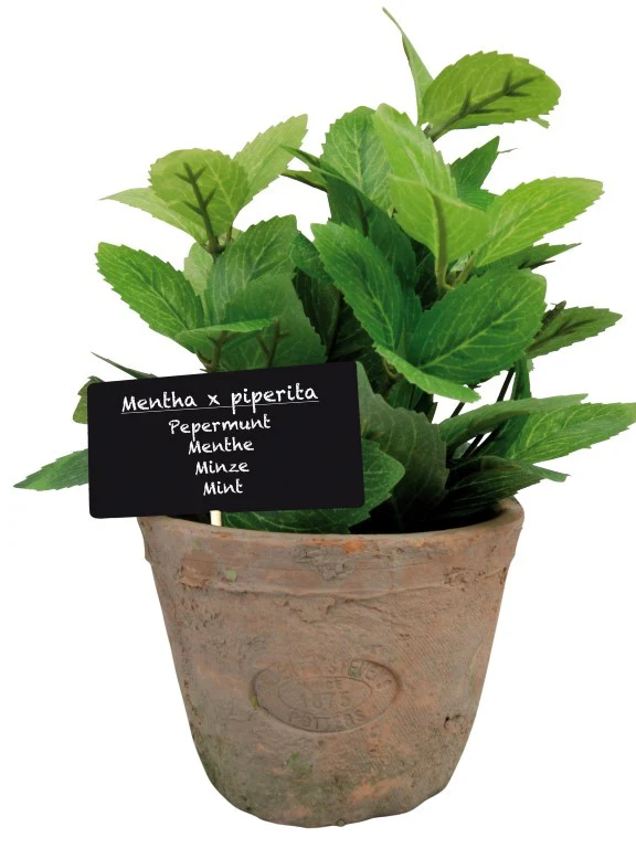 AH004 - ARTIFICIAL MINT IN AGED TERRACOTT