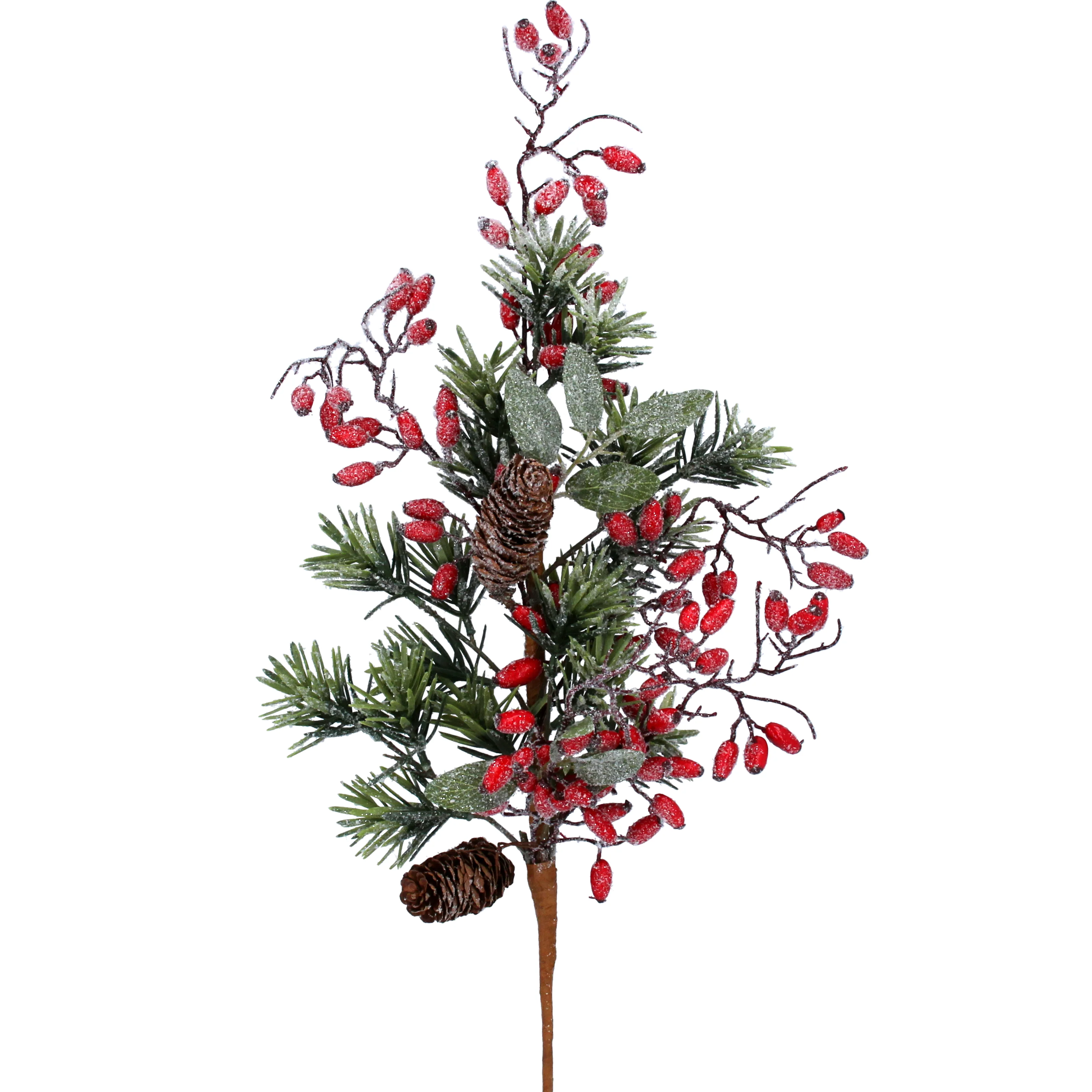 Fir Branch w Red Rosehips