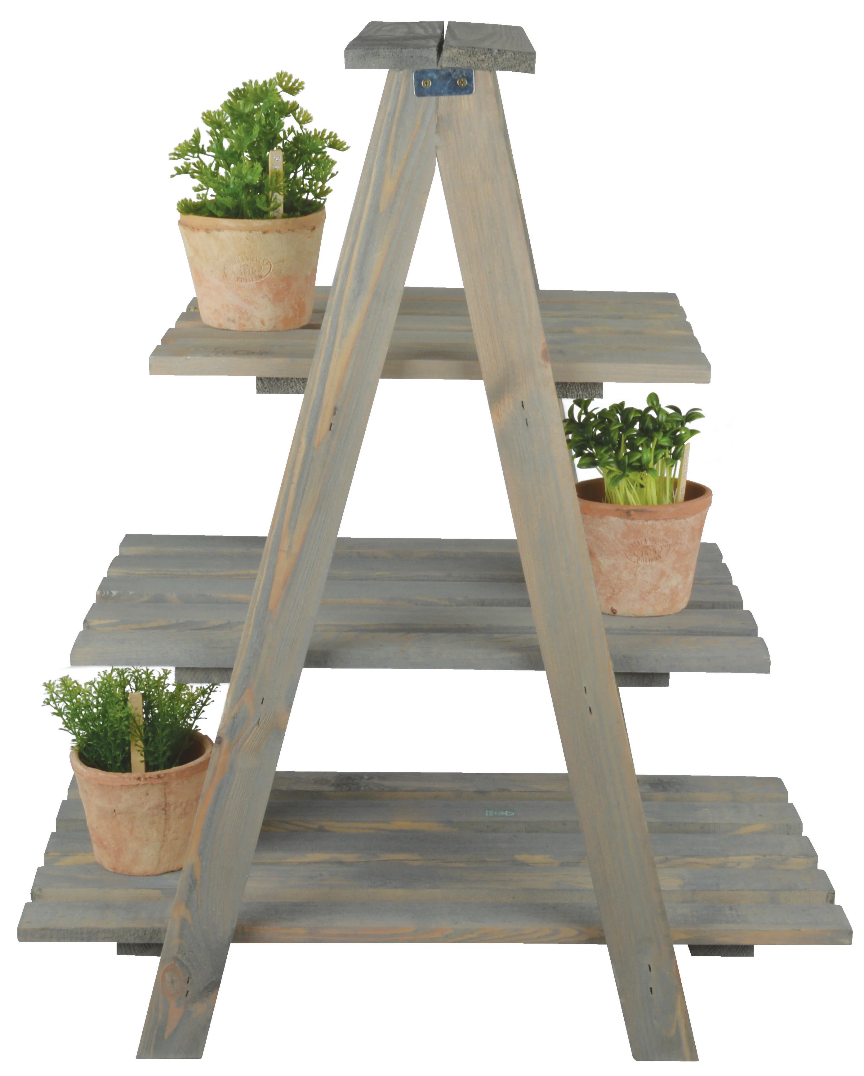 NG53 - TRIANGULAR PLANT LADDER FSC 100%