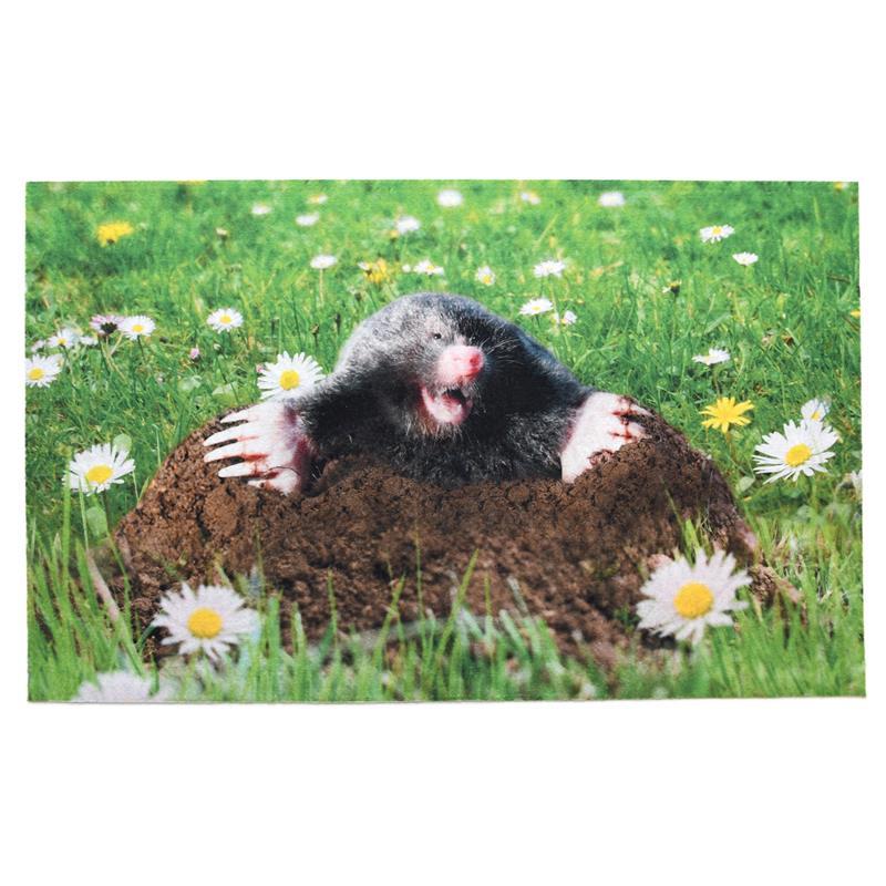 RB227 - DOORMAT GARDEN GNOME