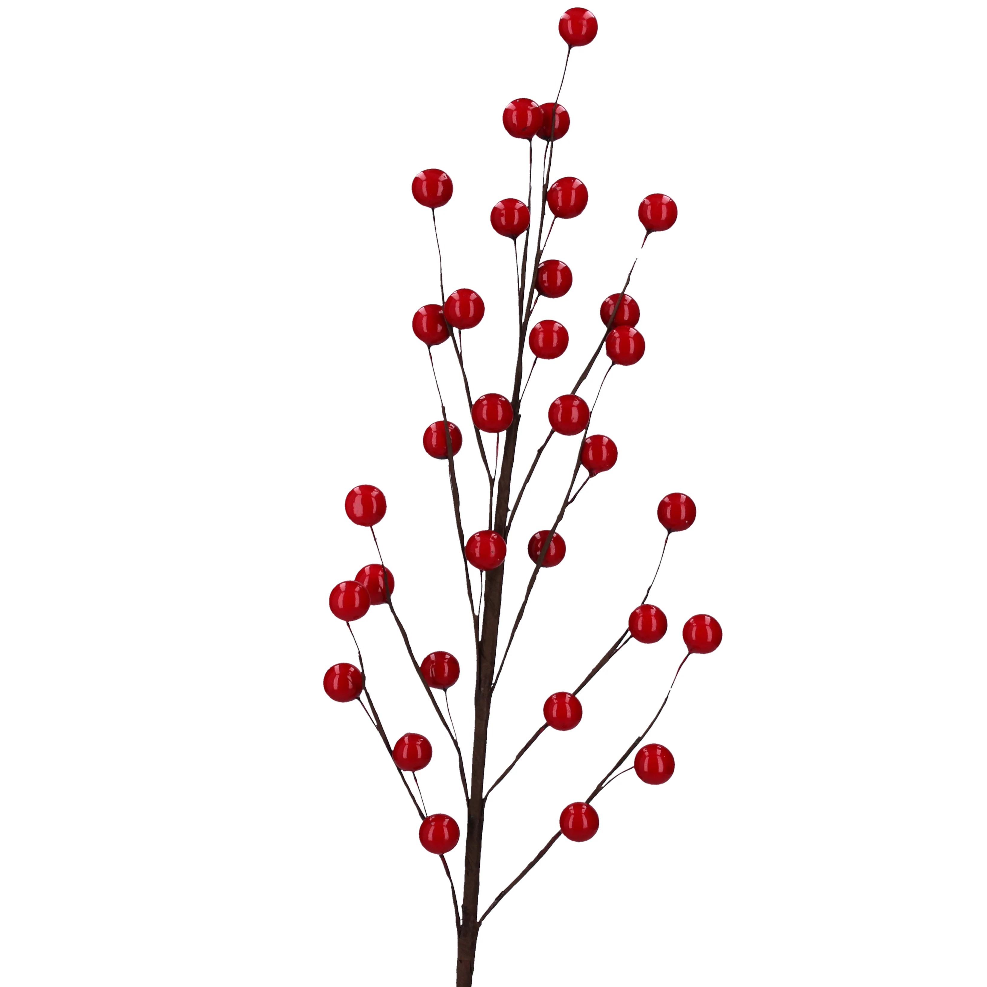 Red Berry Spray