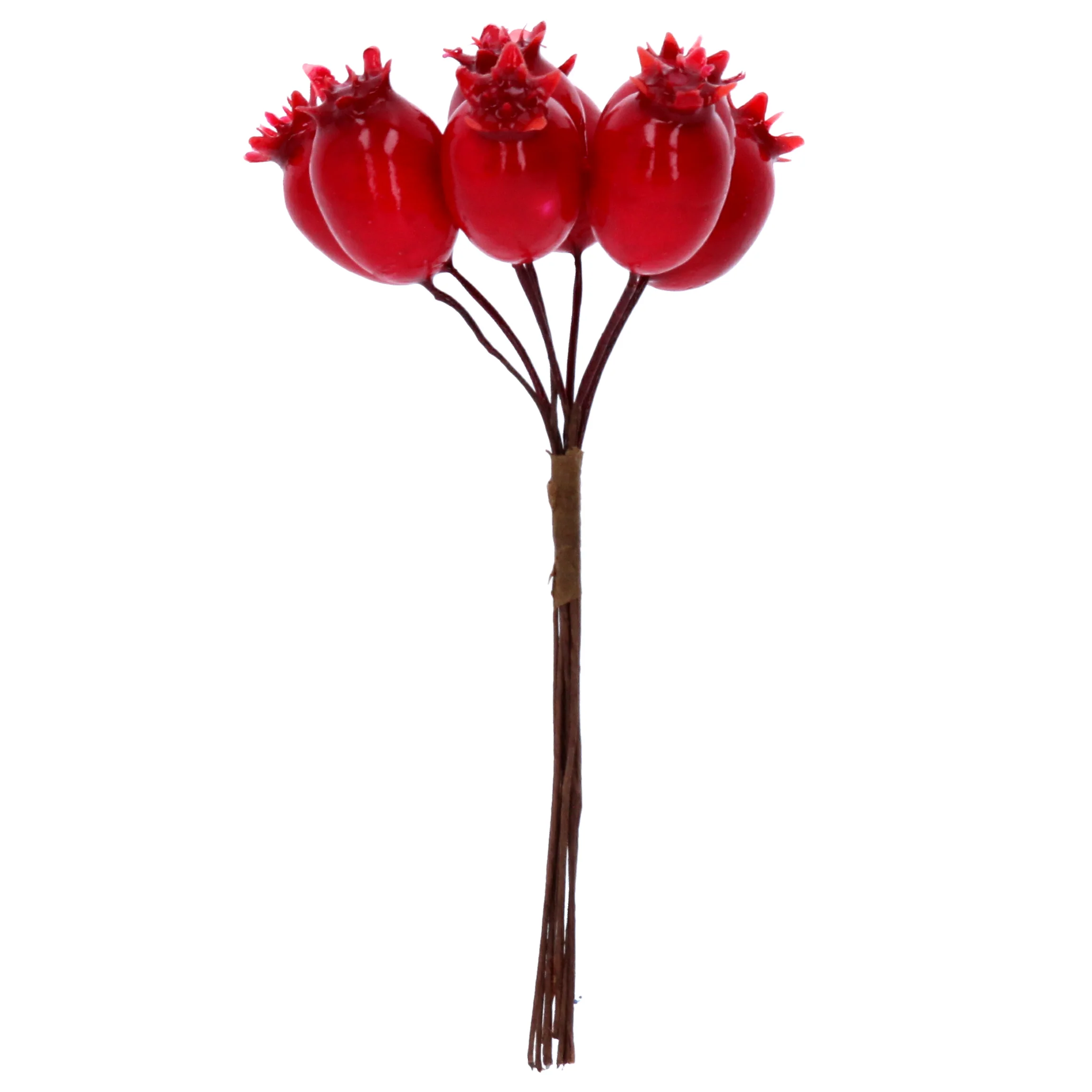 Shiny Red Rosehip Pick Bunch