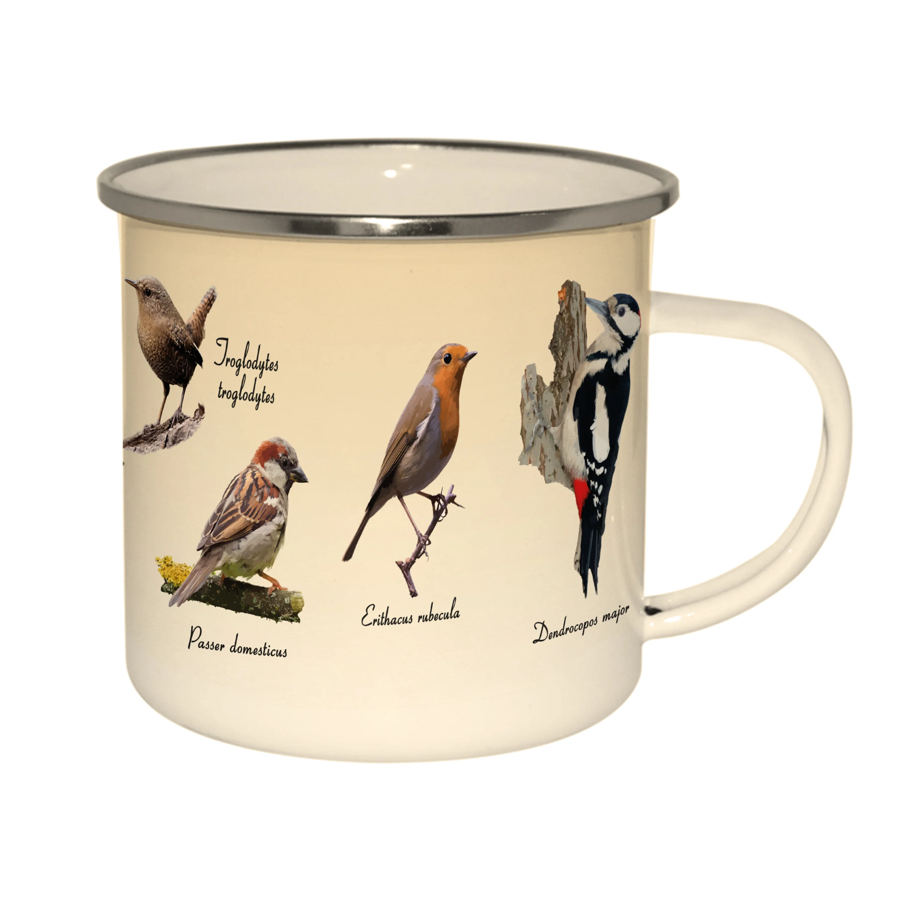 TP342 - ENAMEL MUG NUTS & LEAVES*IMAGE IN